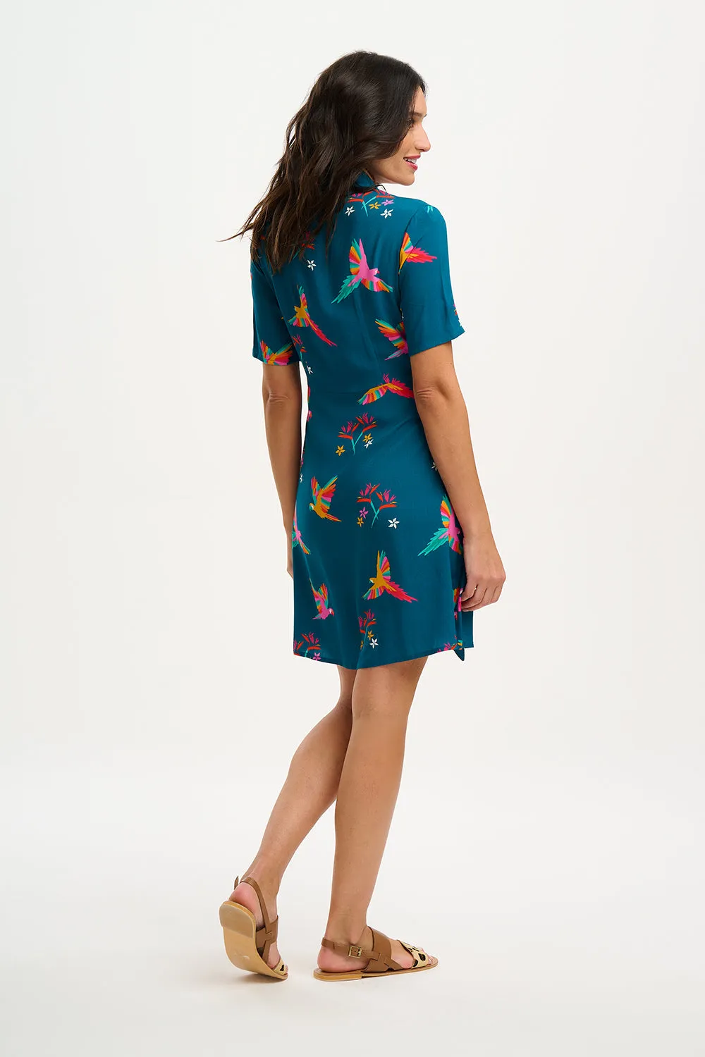 Dessie Mini Shirt Dress - Teal. Rainbow Parrots