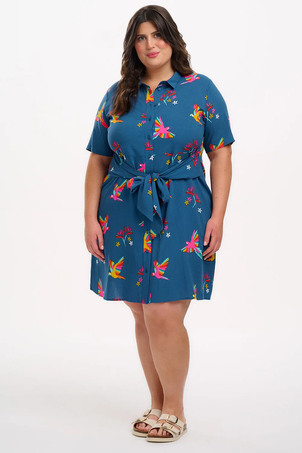 Dessie Mini Shirt Dress - Teal. Rainbow Parrots