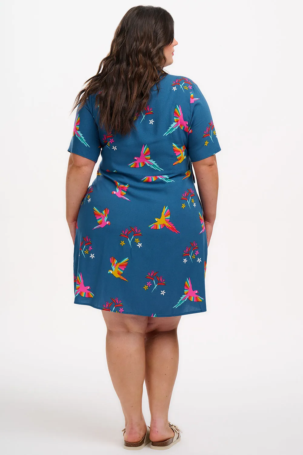 Dessie Mini Shirt Dress - Teal. Rainbow Parrots