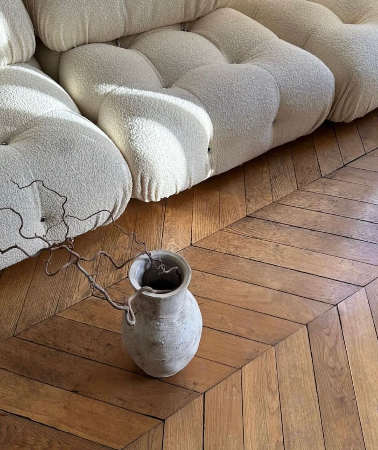 HAZELNUT ROOT VESSEL