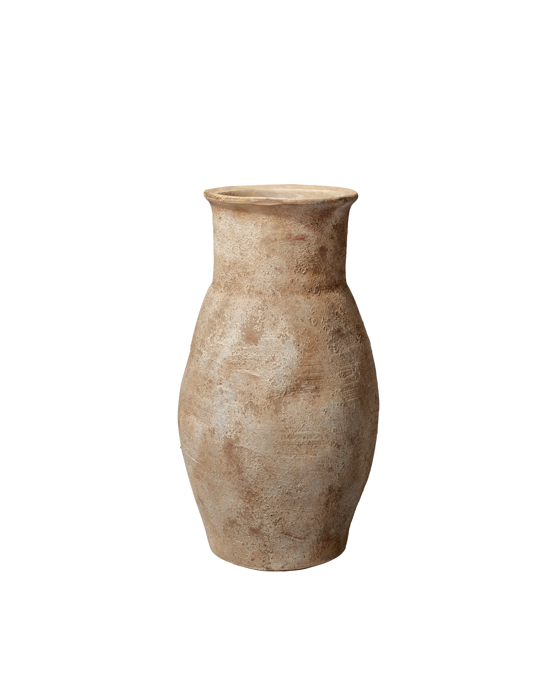 HAZELNUT ROOT VESSEL