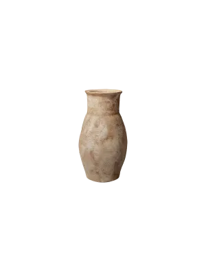 HAZELNUT ROOT VESSEL