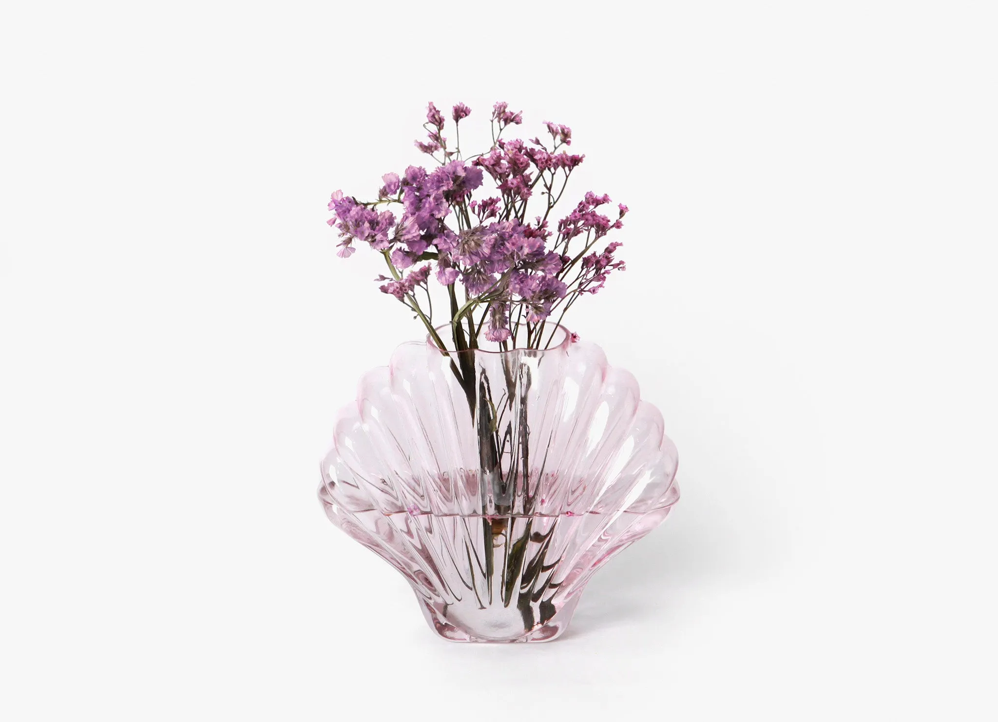 Seashell Vase