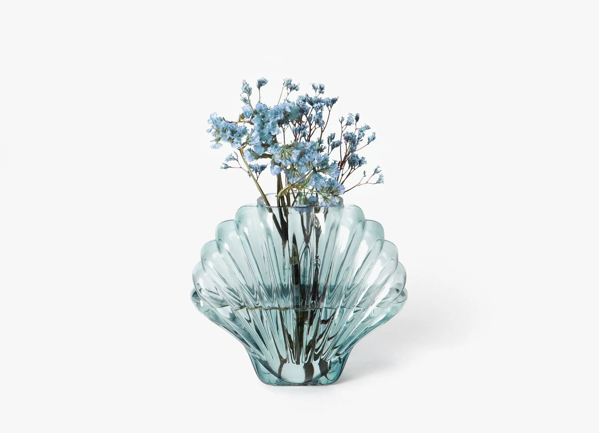 Seashell Vase