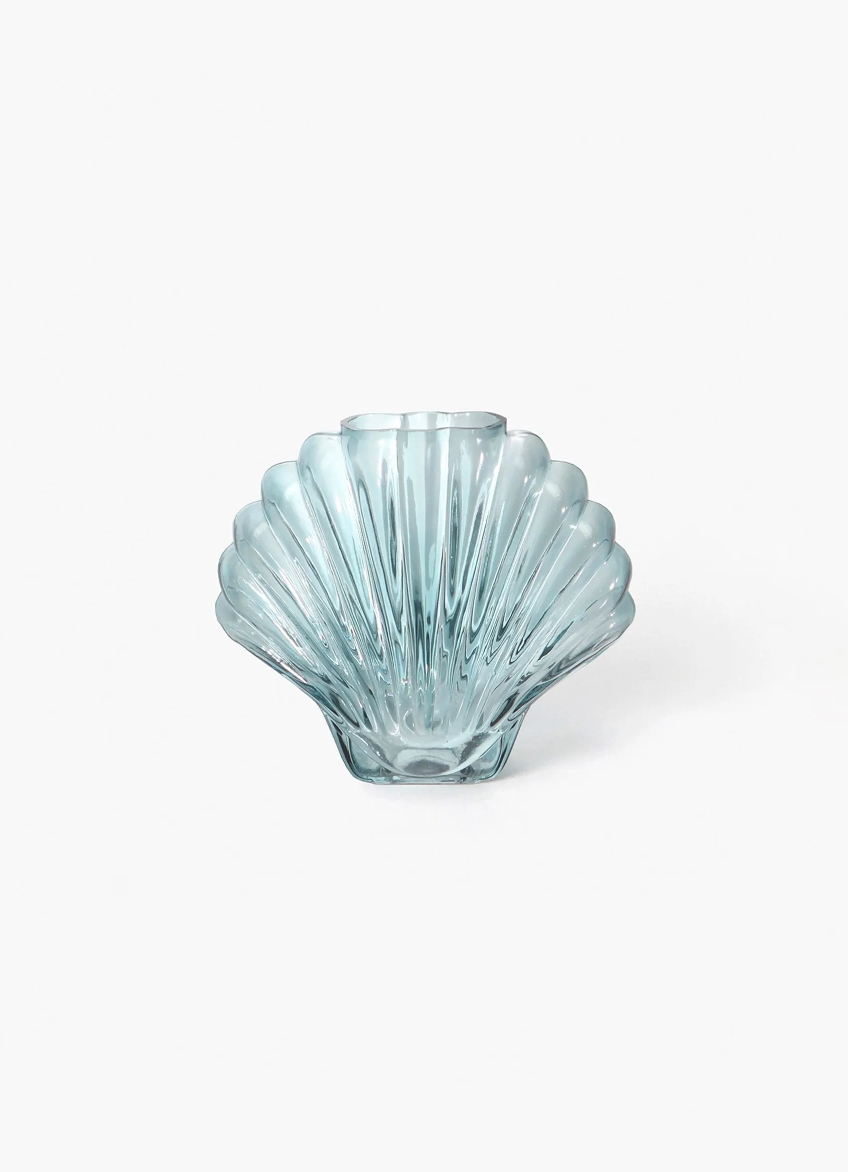 Seashell Vase